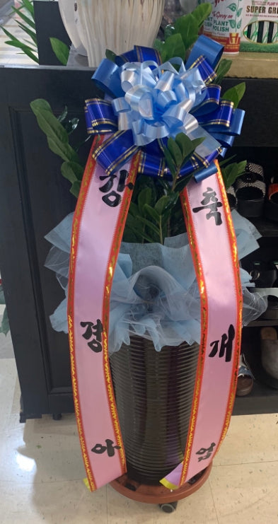 Korean Grand Opening Deluxe Congratulation Ceremony Plant