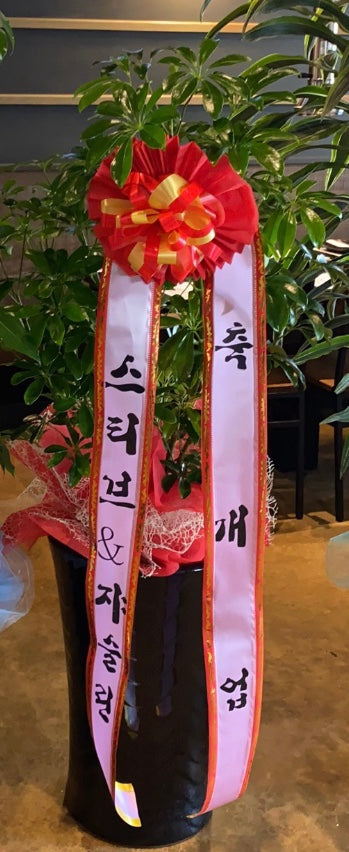 Korean Grand Opening Deluxe Congratulation Ceremony Plant